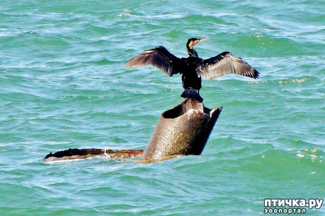 ���� 14: �� ������ ����...