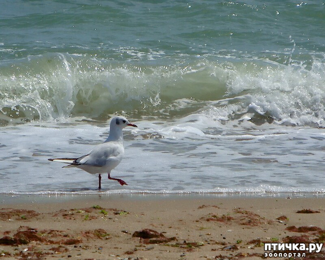 ���� 15: �� ������ ����...