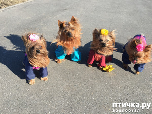 ����: ��� ������� ������!