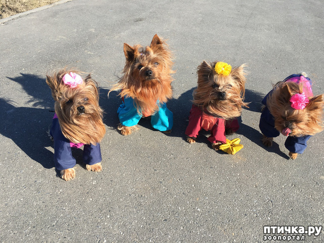 ���� 1: ��� ������� ������!