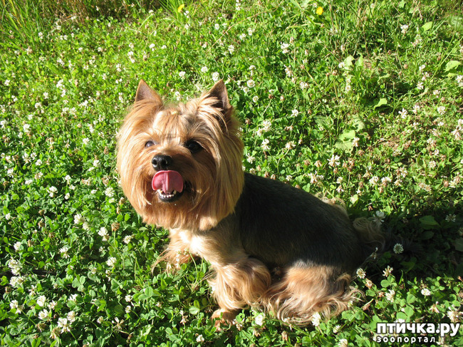 ���� 2: ��� ������� ������!