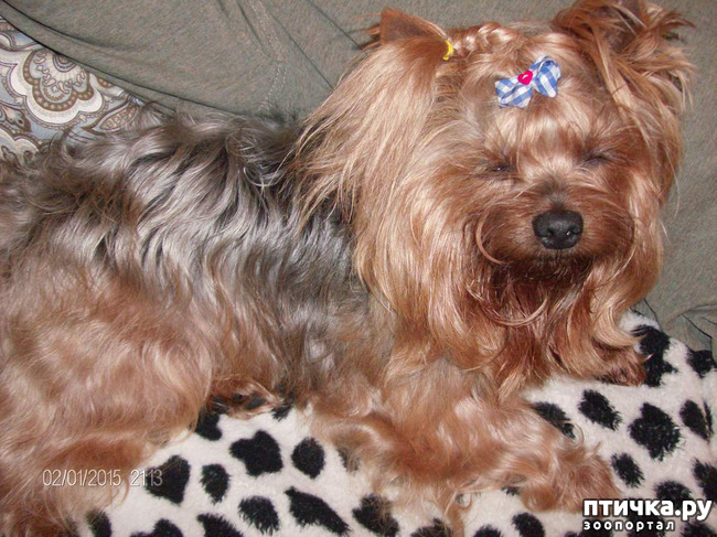 ���� 3: ��� ������� ������!