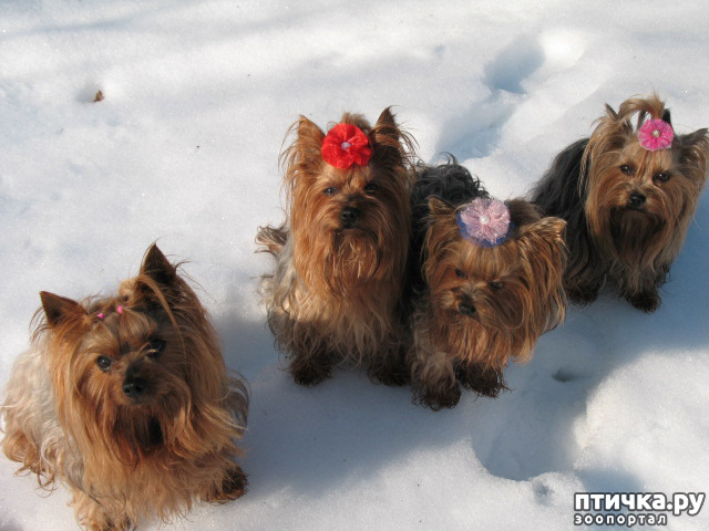 ���� 4: ��� ������� ������!