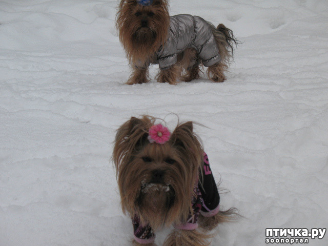 ���� 5: ��� ������� ������!