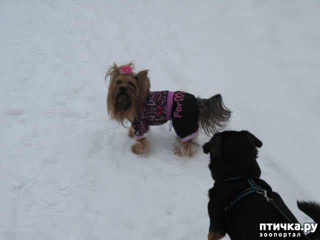 ���� 6: ��� ������� ������!