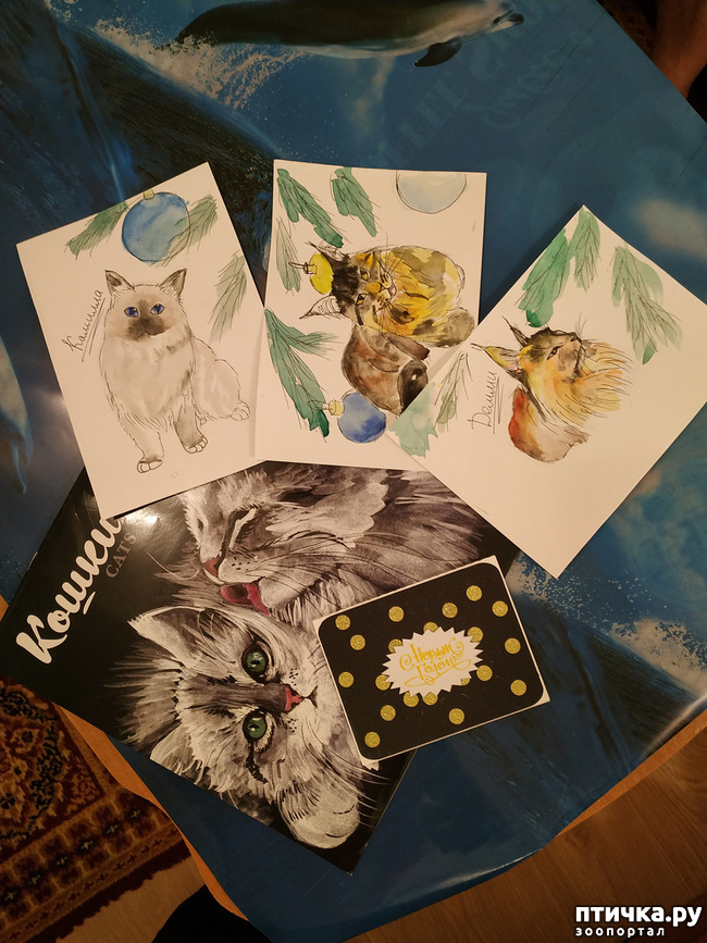 ���� 2: ��������� ��������