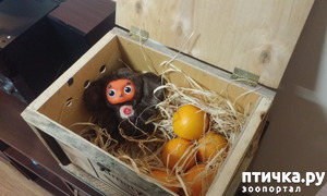 ����: ��������� ��������