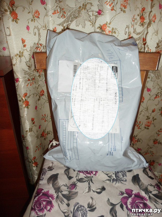 ���� 1: ��� �����������!