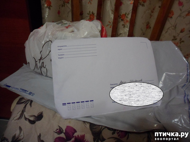 ���� 2: ��� �����������!