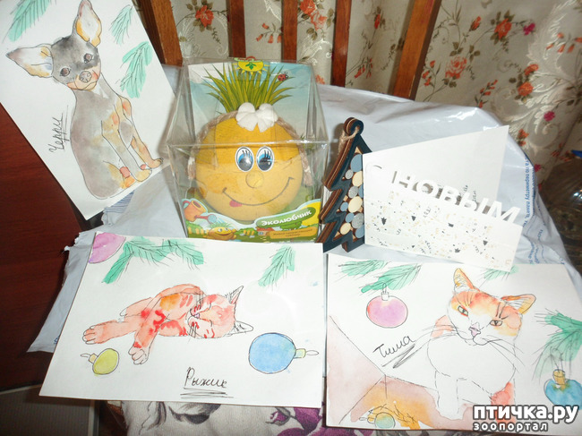 ���� 3: ��� �����������!