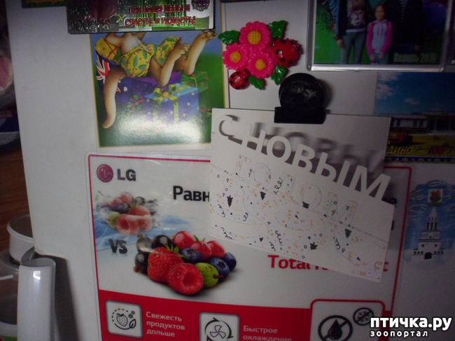 ���� 5: ��� �����������!