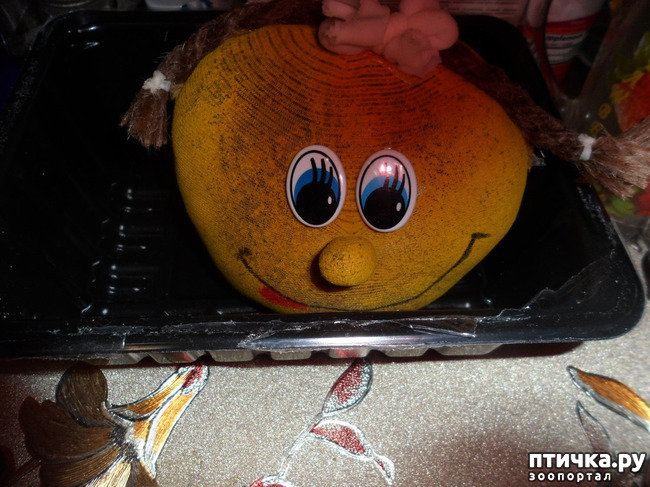 ���� 6: ��� �����������!