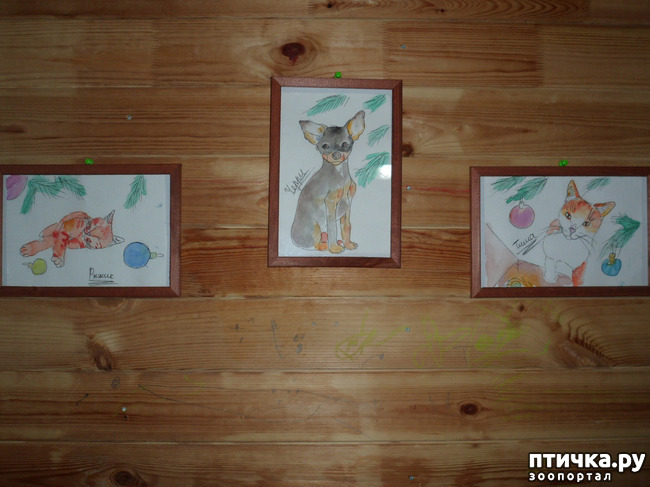 ���� 7: ��� �����������!