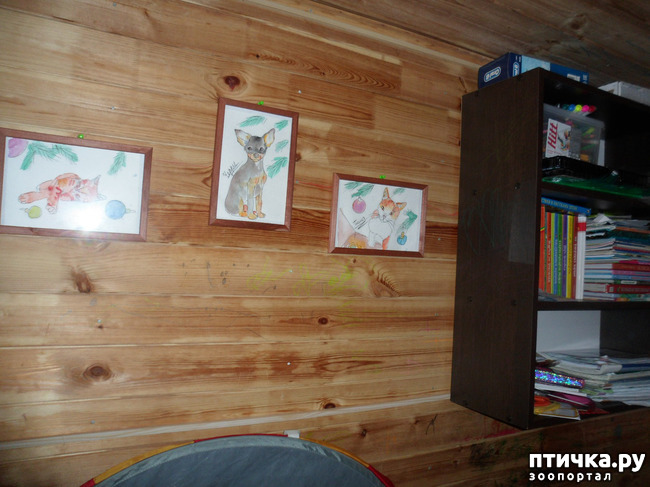 ���� 8: ��� �����������!