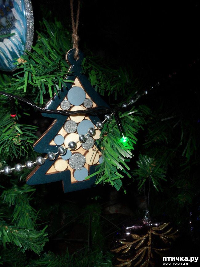 ���� 9: ��� �����������!