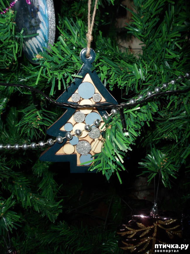 ���� 10: ��� �����������!