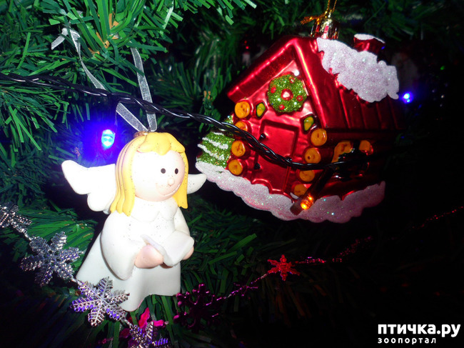 ���� 11: ��� �����������!