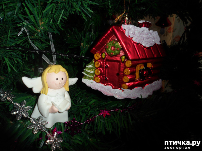 ���� 12: ��� �����������!