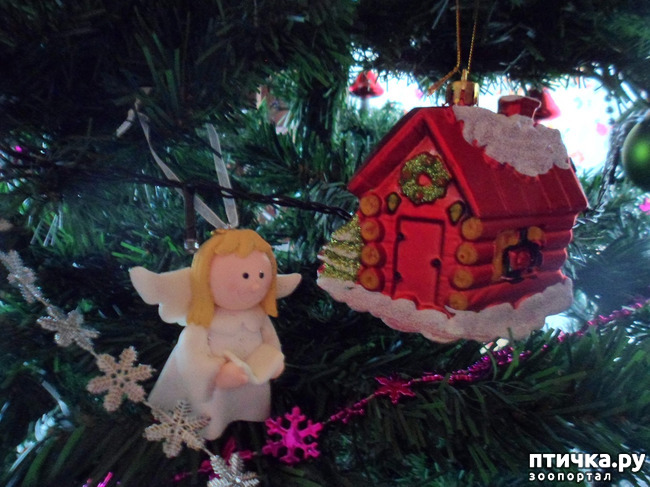 ���� 13: ��� �����������!