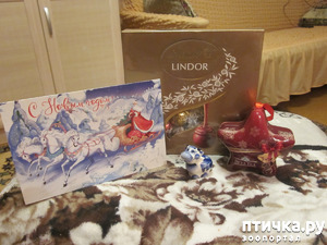 ����: � �� ��� ������ ��� �����!