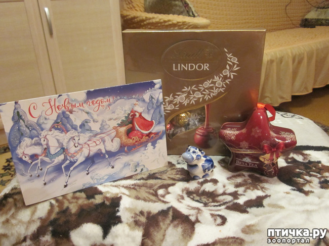 ���� 1: � �� ��� ������ ��� �����!