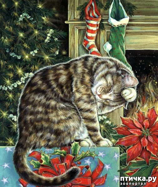  11:  