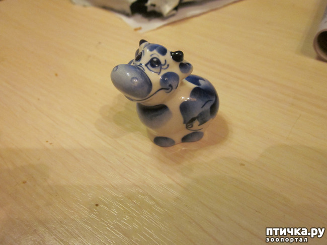 ���� 2: � �� ��� ������ ��� �����!