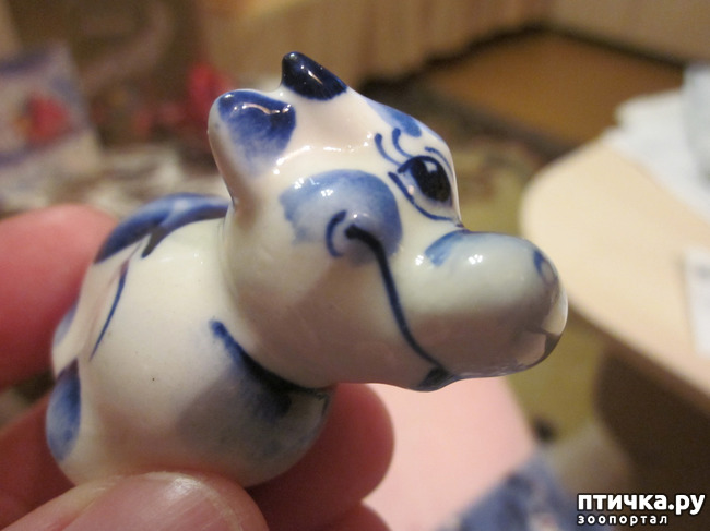 ���� 4: � �� ��� ������ ��� �����!