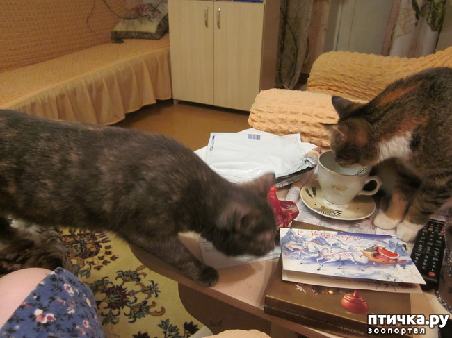 ���� 5: � �� ��� ������ ��� �����!