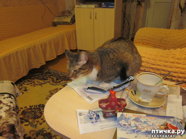 ���� 6: � �� ��� ������ ��� �����!