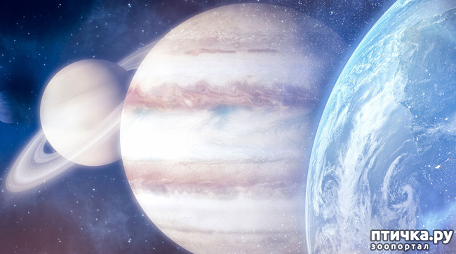 ���� 1: � �� ������ � ��������� ������� � �������? � � ��� �������?