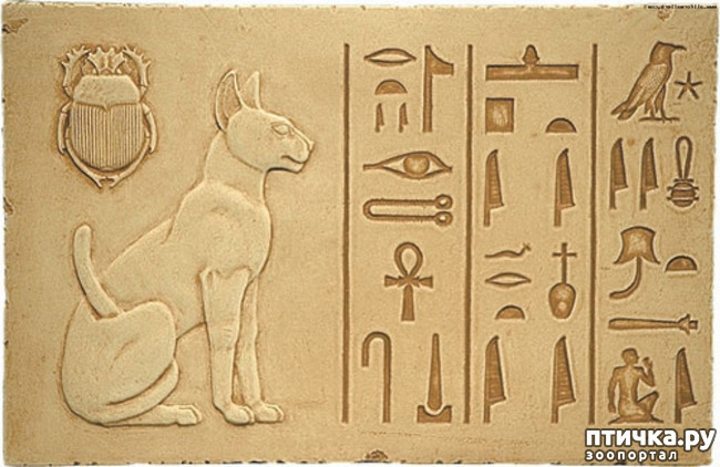 ���� 2: ������������ ���� ����� � ������� ������