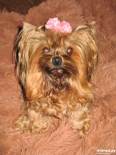 ���� 3: � �� ������ � ��������� ������� � �������? � � ��� �������?