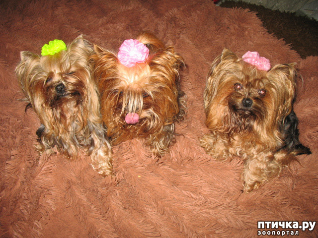 ���� 4: � �� ������ � ��������� ������� � �������? � � ��� �������?