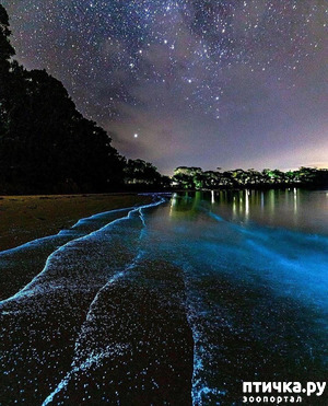 ����: �����