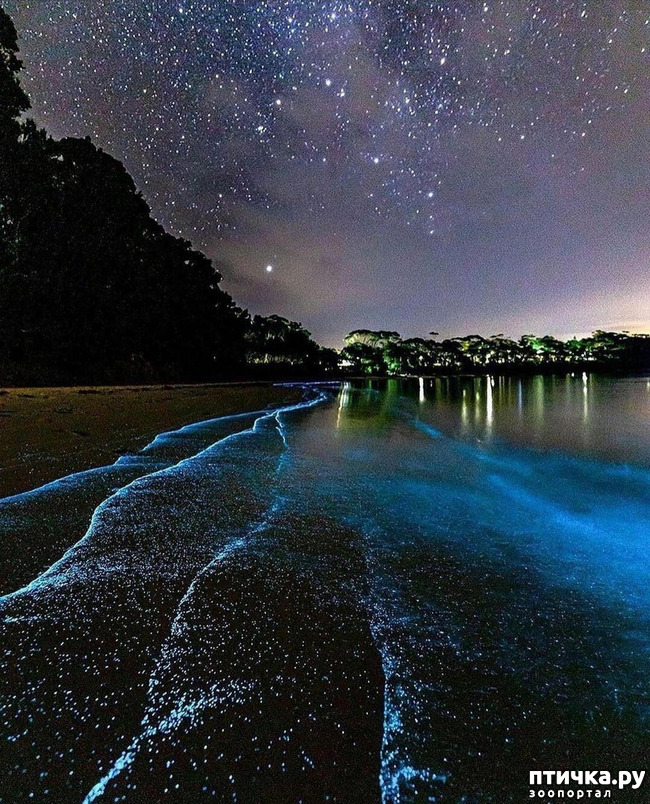 ���� 1: �����