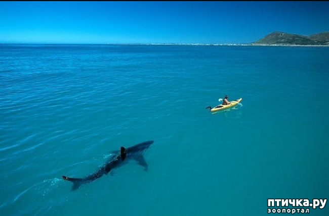 ���� 2: �����