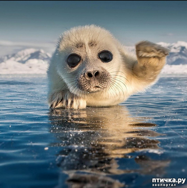 ���� 3: �����