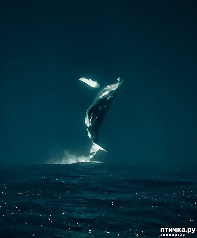 ���� 6: �����