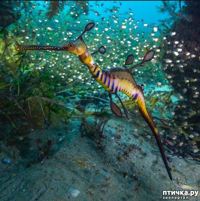 ���� 4: �����