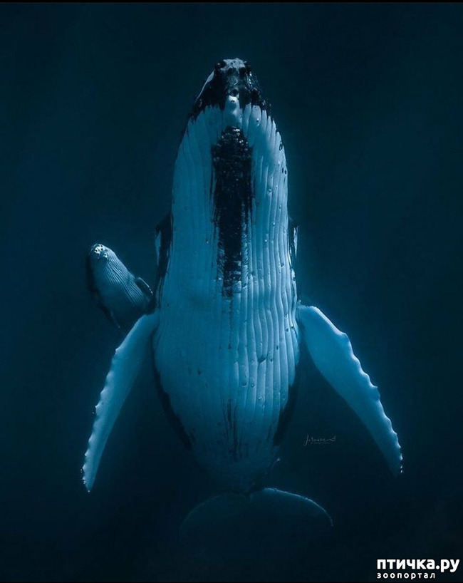 ���� 8: �����