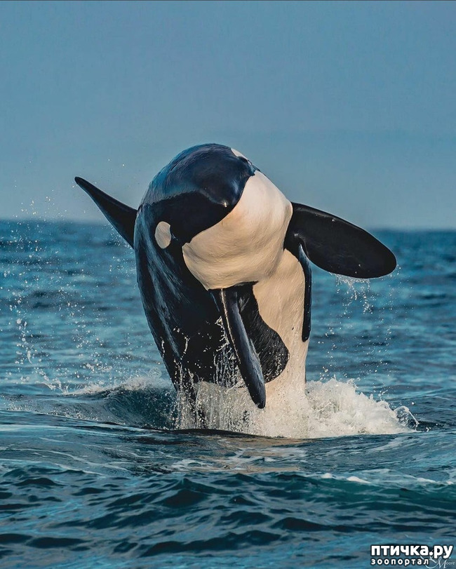 ���� 7: �����