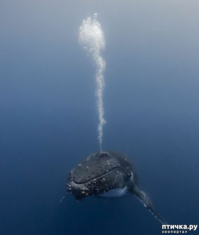 ���� 11: �����