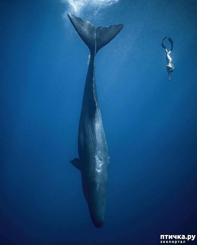 ���� 10: �����