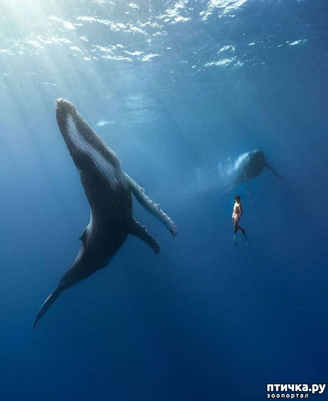 ���� 13: �����