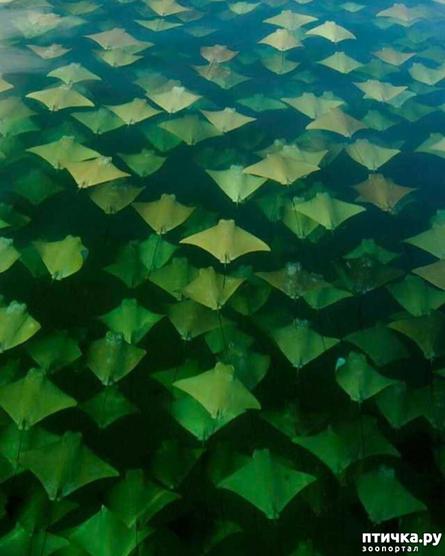 ���� 14: �����