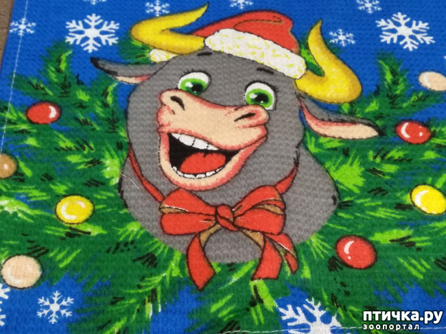 ���� 8: � ����� �������� ������� ������. ��� ����������� � ������������.