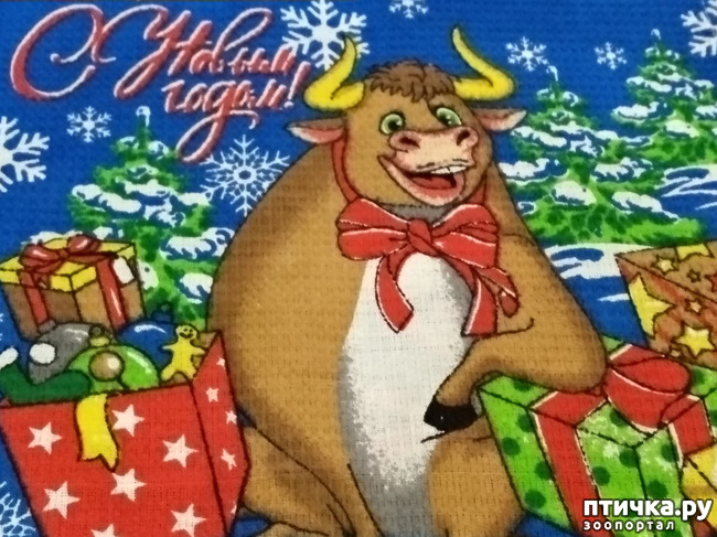 ���� 9: � ����� �������� ������� ������. ��� ����������� � ������������.