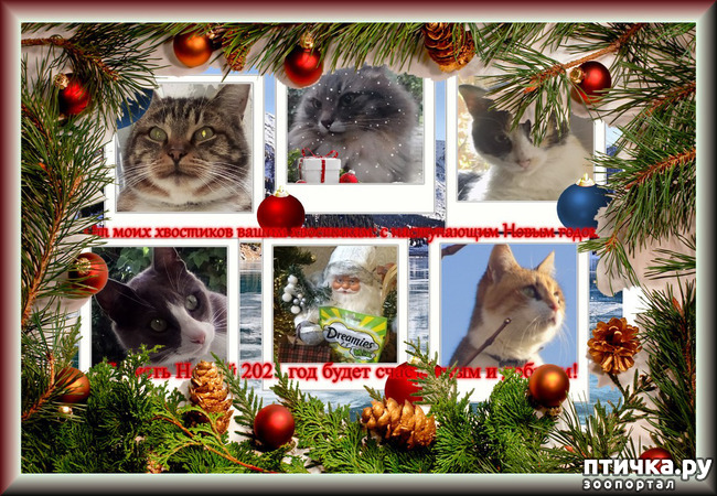 ���� 12: � ����� �������� ������� ������. ��� ����������� � ������������.