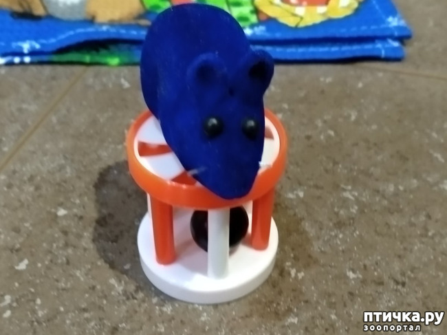 ���� 6: � ����� �������� ������� ������. ��� ����������� � ������������.